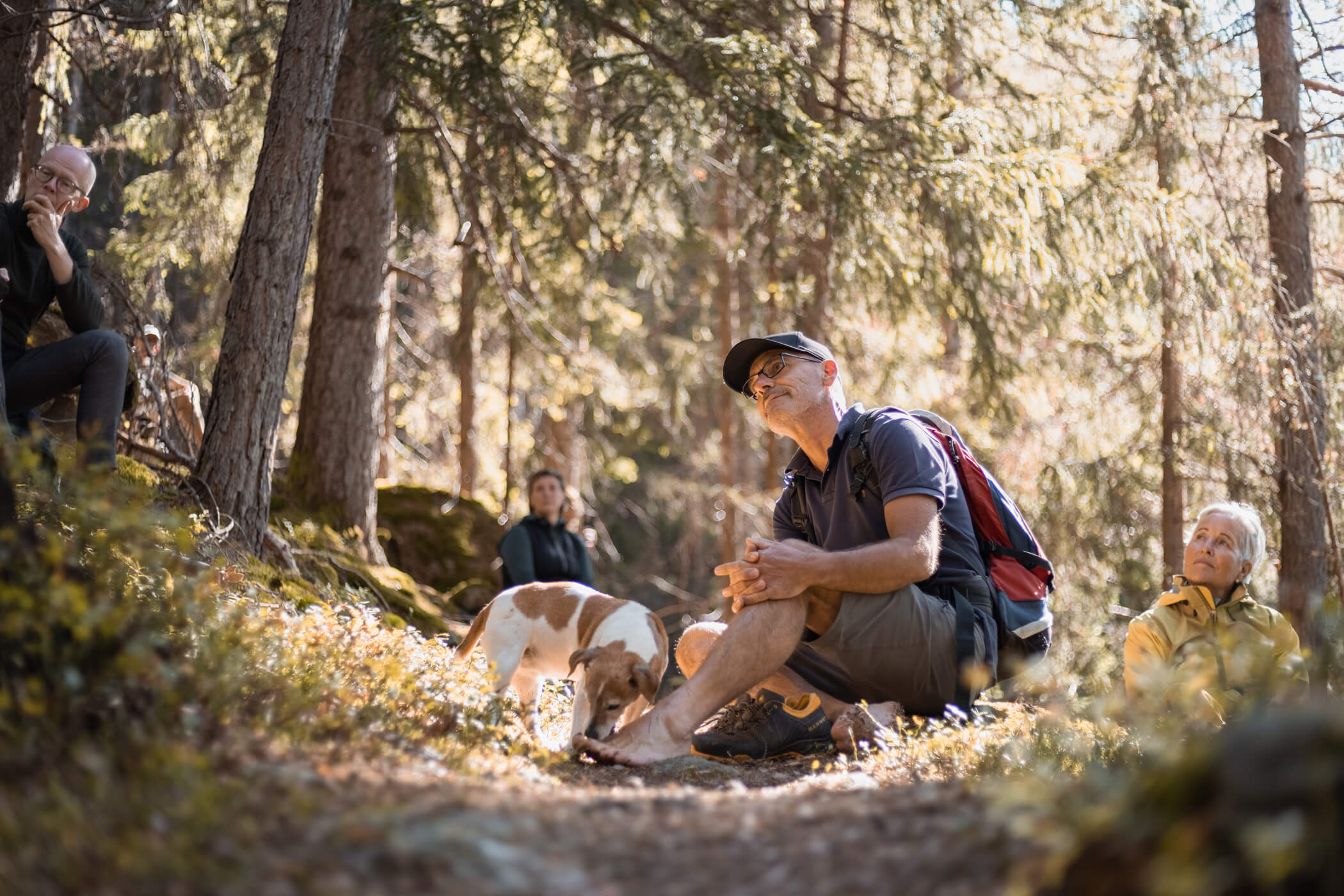 Angebot: Tierisch schön