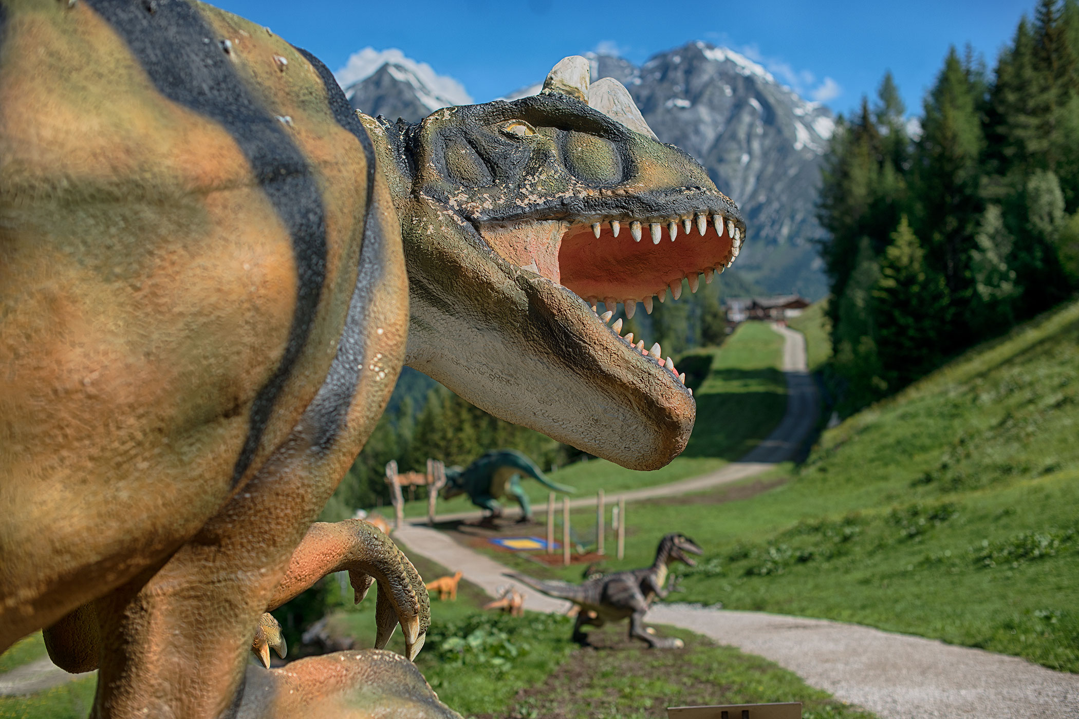 Sommermomente - Detailaufnahme Dino - Hotel Sonnleiten