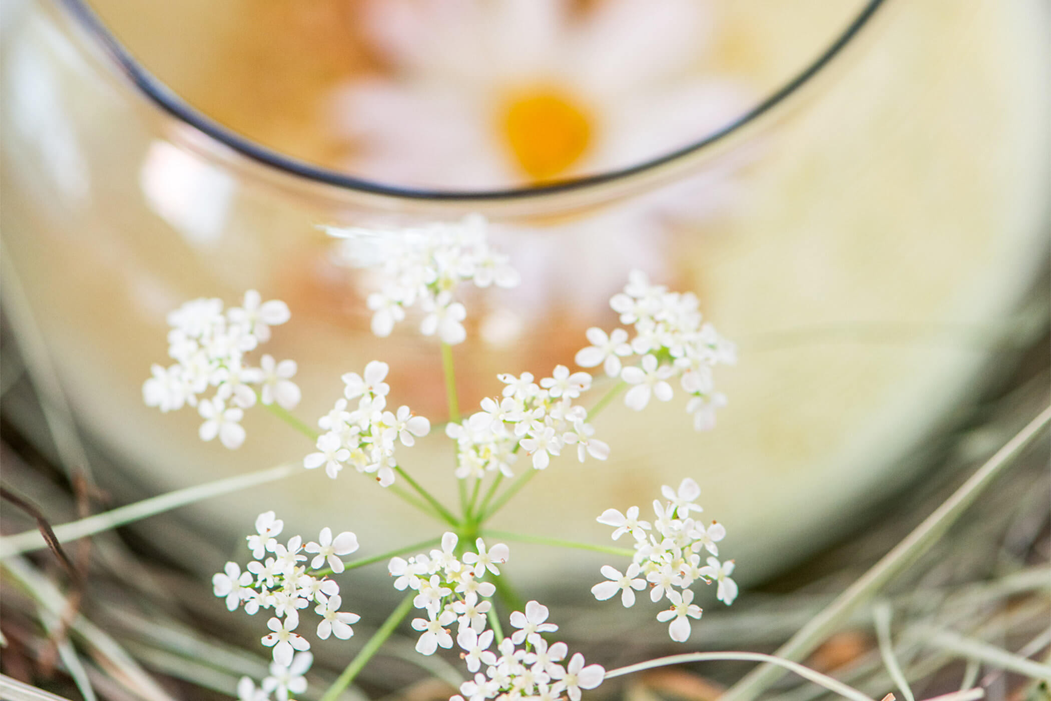 Cucina della Mamma - Sonnleiten