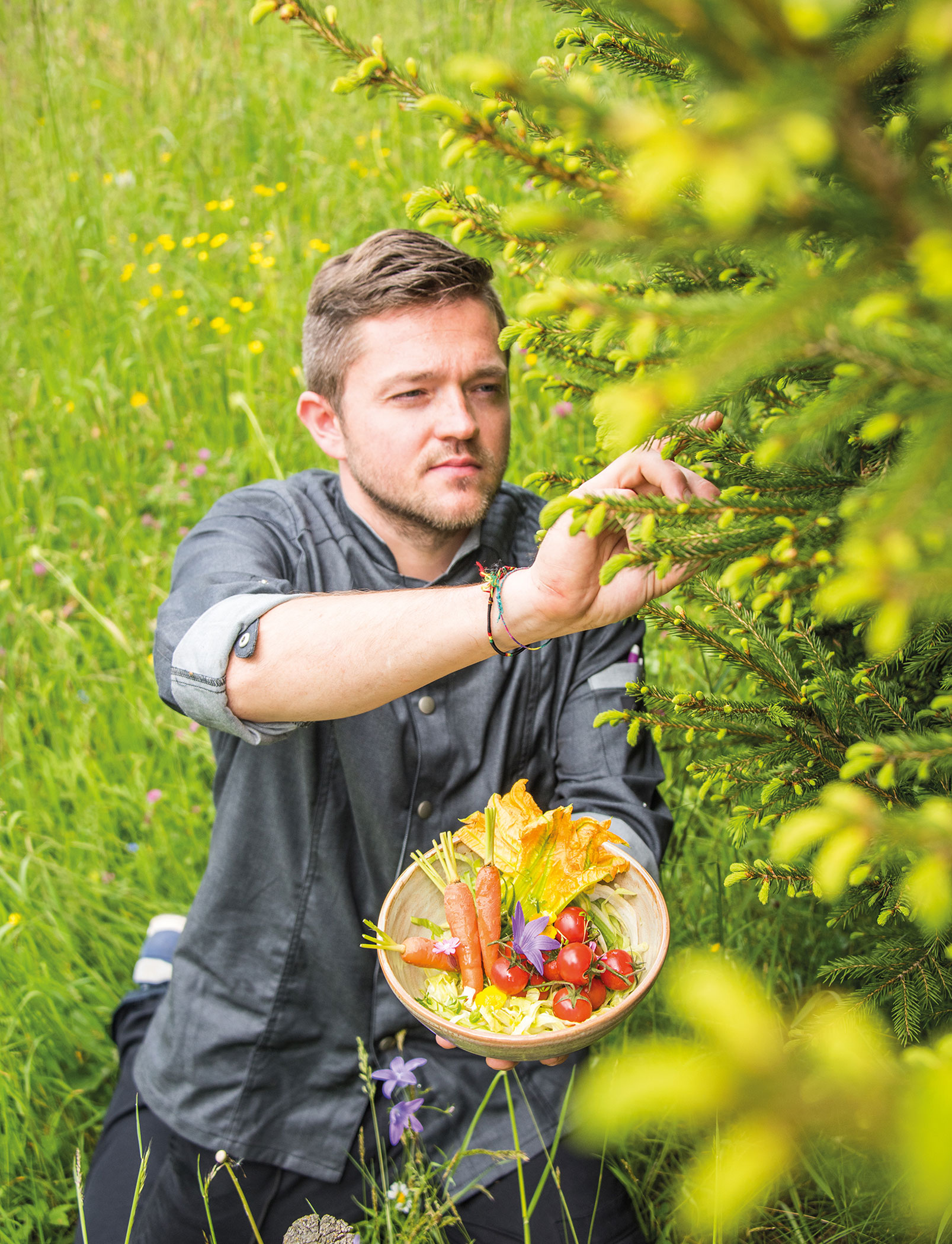 Zutaten aus der Natur
