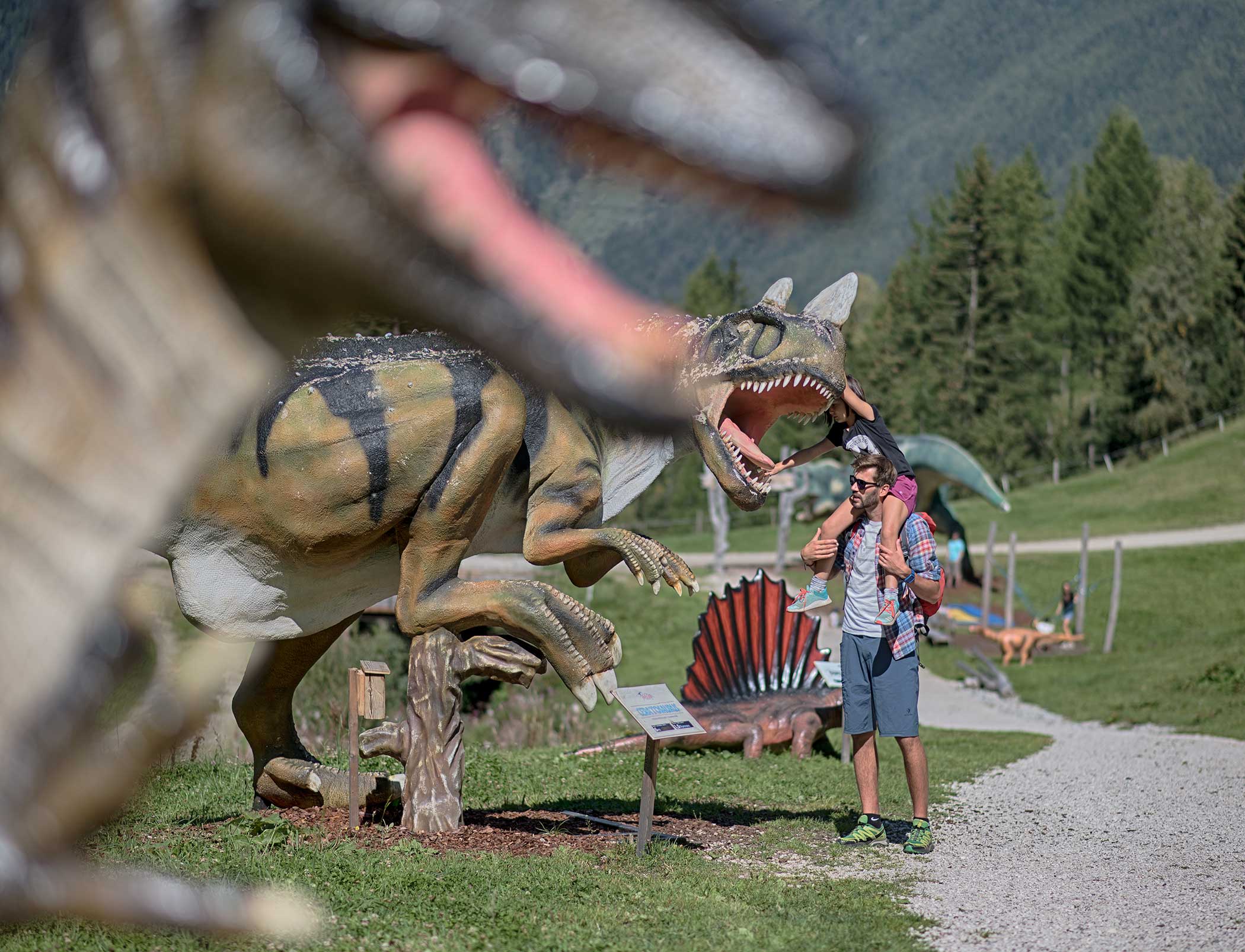 Summer on the Klausberg